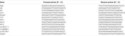 Differential lncRNA/mRNA Expression Profiling and Functional Network Analyses in Bmp2 Deletion of Mouse Dental Papilla Cells